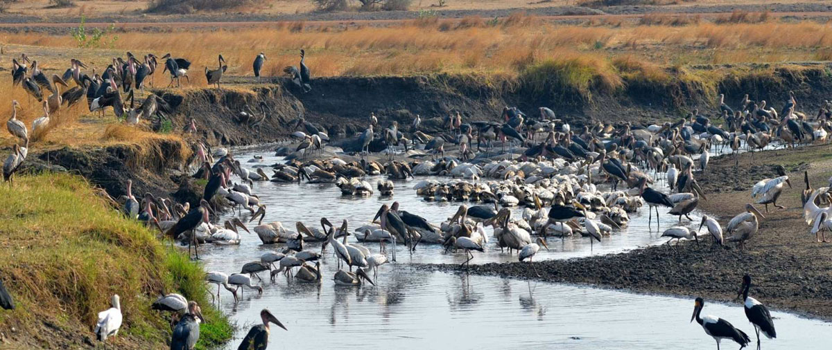 Katavi National Park